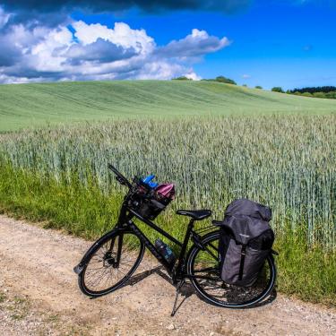 Fahrrad in hügeliger Ackerlandschaft am Horsens Fjord