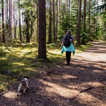 Frau geht mit Hund im Wald spazieren