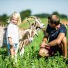 Ein Vater und seine Kinder begrüßen Ziegen am Feld