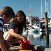 Zwei Kinder fangen auf der Krebsbrücke im Hafen von Juelsminde Krebse