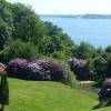 Rhododendronbüsche im Park am Hotel Vejlefjord