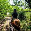 Reiten auf der Kanincheninsel Endelave im ostjütischen Inselmeer – ein Teil der Urlaubsregion Küstenland