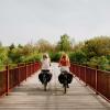 Kvinder cykler på elcykler på Den Genfundne Bro