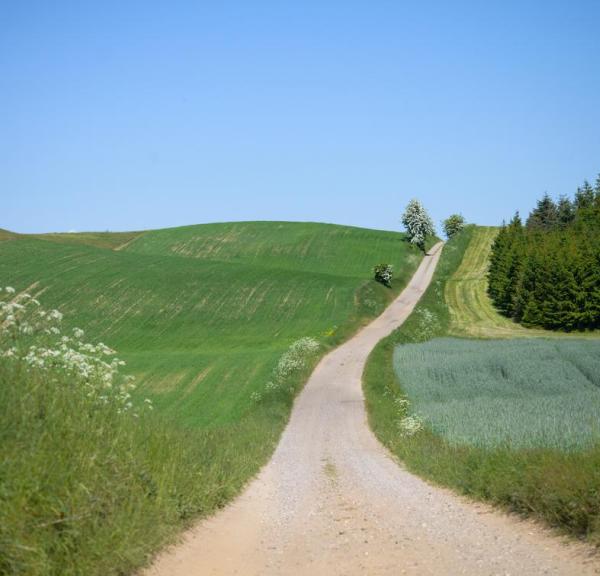 Sonniger Tag auf Alrø