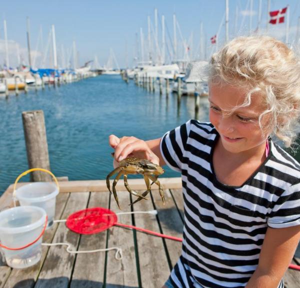 Mädchen fangen krebs bei das hafen im Juelsminde