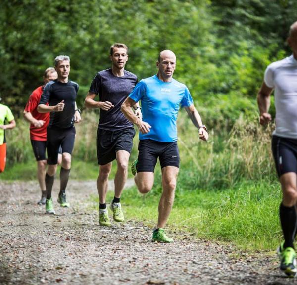 Sechs Läufer im Wald auf einer der Wander- und Laufrouten im Küstenland