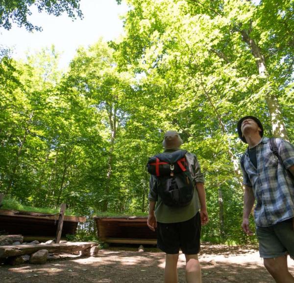 Zwei Männer auf Wanderung am Shelterplatz im Wald