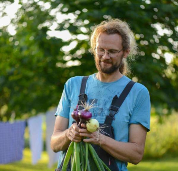 Søren Sørøver vom Brandbygegaard präsentiert feine, frisch geerntete Zwiebeln im Garten nahe Alrø in Odder