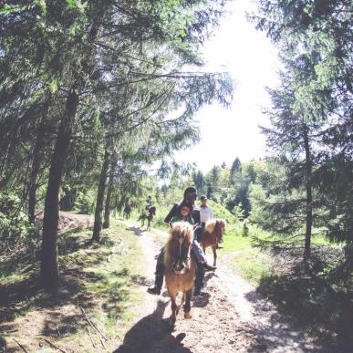 Fuglsang Rideture Ausritte durch das Hügelland