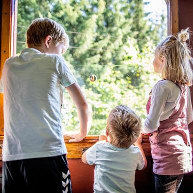 Kinder stehen in einem Eisenbahnwaggon der Museumsbahn Bryrup