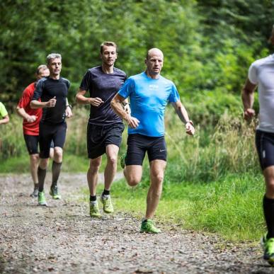 Sechs Läufer im Wald auf einer der Wander- und Laufrouten im Küstenland
