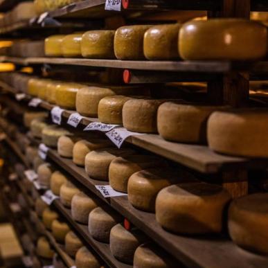 Bio-Hofmolkerei in Sondrup nahe Odder hat reihenweise Käse