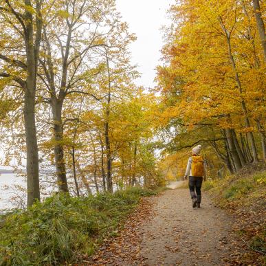 Efterår på Husoddestien langs Horsens Fjord