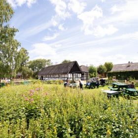 Tisch und bank bei Glus museum