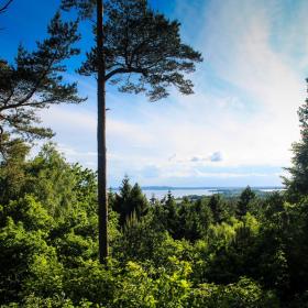 Sondrup Hügel Horsens Fjord