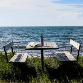 Picknicktisch am Horsens Fjord
