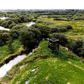 Drohnenbild von Uldum Kær und dem Vogelturm im Küstenland