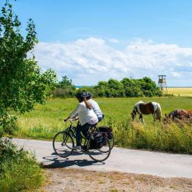 Fahrradurlaub auf der Insel Endelave im Küstenland in Dänemark