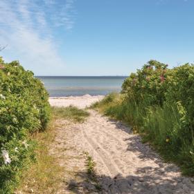 Pfad hinunter zum feinen Sandstrand an der Küste von Odder in der Urlaubsregion Küstenland