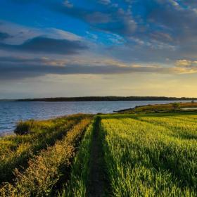 Sonnenübergang über einem Feld auf Hjarnø