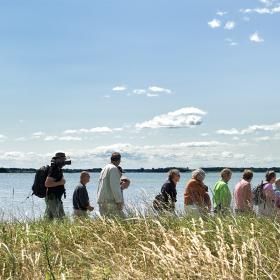 Eine große Gruppe macht entlang des Horsens Fjord einen Spaziergang
