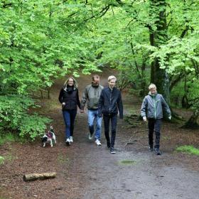 Familie geht mit Hund im Wald spazieren