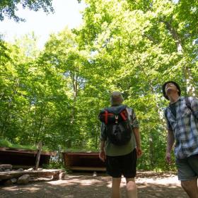Zwei Männer auf Wanderung am Shelterplatz im Wald