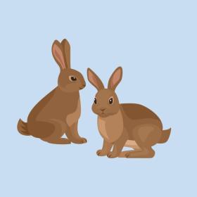 Illustration von Kaninchen auf dem Kanino auf Endelave, der Insel des Jahres, im ostjütischen Inselmeer – ein Teil der Urlaubsregion Küstenland