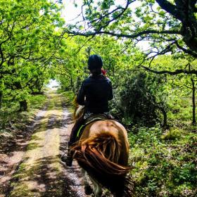 Reiten auf der Kanincheninsel Endelave im ostjütischen Inselmeer – ein Teil der Urlaubsregion Küstenland