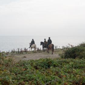 Rid på heste på Endelave med Turridning Endelave i Destination Kyslandet