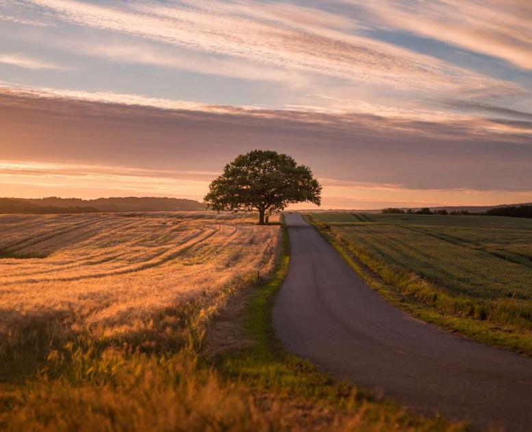 Das Hügelland – ein Teil der Urlaubsregion Küstenland