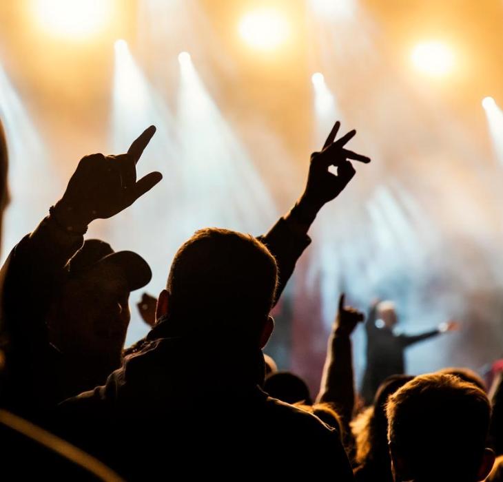 Publikum bei einem Konzert